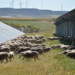 La familia Gómez Aldana, de Villanueva de Huerva, reconocida con el XVI Premio a la Biodiversidad
