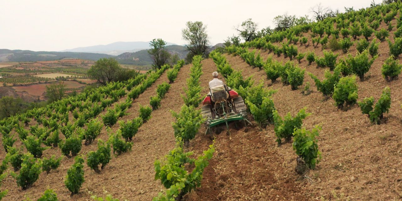 Los vinos de Raíces Ibéricas destacan en el reportaje que anuncia la entrada de Aragón en el ‘World Atlas of Wine’