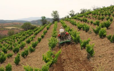 Los vinos de Raíces Ibéricas destacan en el reportaje que anuncia la entrada de Aragón en el ‘World Atlas of Wine’
