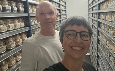 El Banco de Germoplasma Hortícola del CITA y el CGN refuerzan la conservación de semillas silvestres de interés agrícola en Aragón
