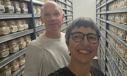 El Banco de Germoplasma Hortícola del CITA y el CGN refuerzan la conservación de semillas silvestres de interés agrícola en Aragón