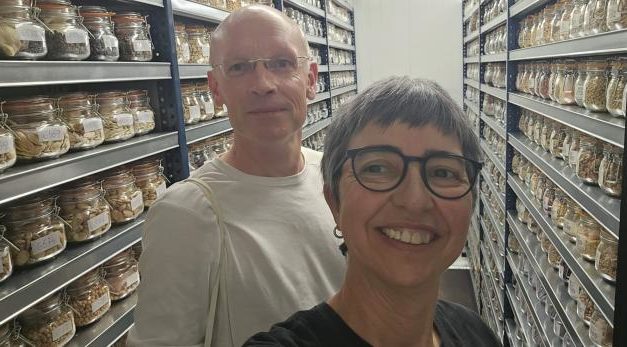 El Banco de Germoplasma Hortícola del CITA y el CGN refuerzan la conservación de semillas silvestres de interés agrícola en Aragón