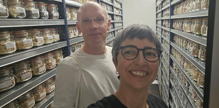 El Banco de Germoplasma Hortícola del CITA y el CGN refuerzan la conservación de semillas silvestres de interés agrícola en Aragón