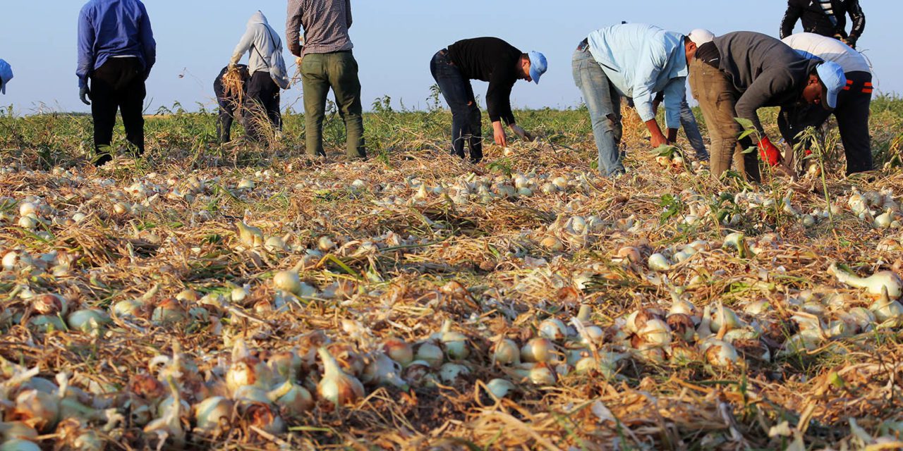 Agricultura convoca 545.000 euros en ayudas para apoyar la incorporación de agricultores y ganaderos a regímenes de calidad en Aragón
