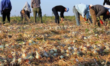 Agricultura convoca 545.000 euros en ayudas para apoyar la incorporación de agricultores y ganaderos a regímenes de calidad en Aragón