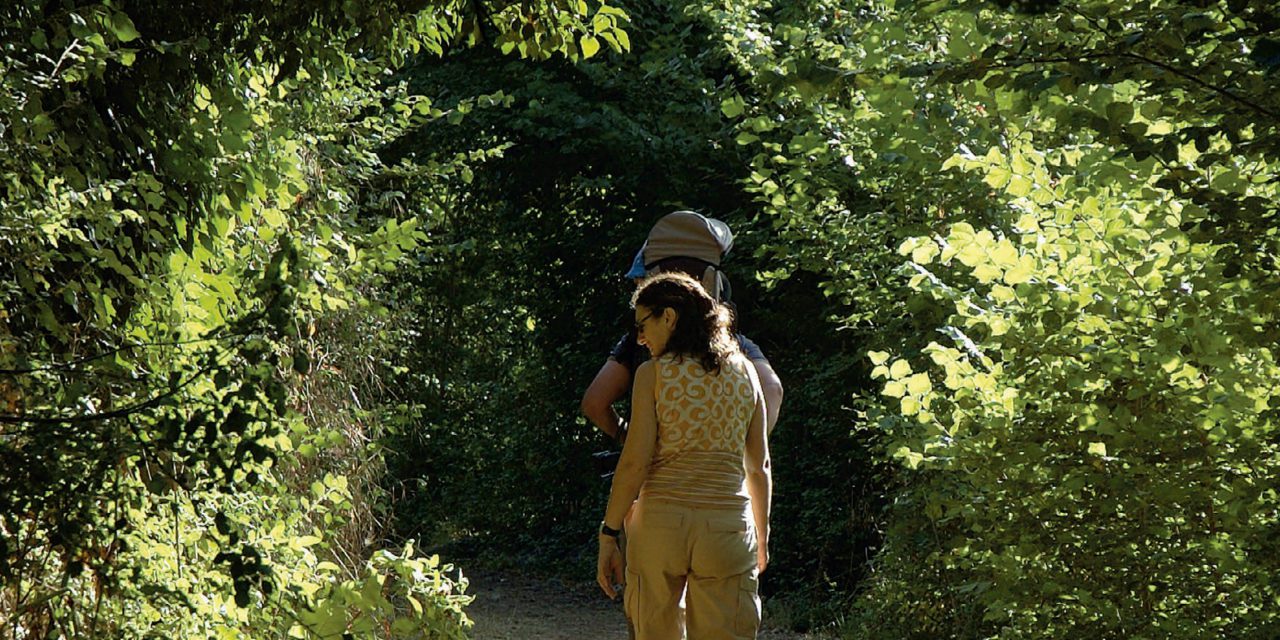 La DPZ edita 4000 ejemplares de la guía ‘Refréscate en la provincia de Zaragoza’ para promocionar los espacios naturales y actividades al aire libre en el verano