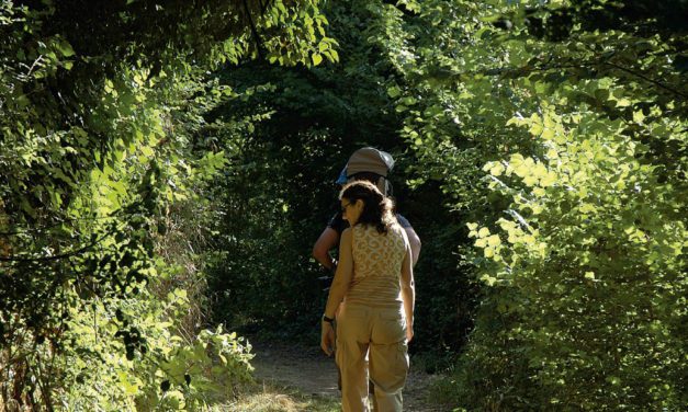 La DPZ edita 4000 ejemplares de la guía ‘Refréscate en la provincia de Zaragoza’ para promocionar los espacios naturales y actividades al aire libre en el verano