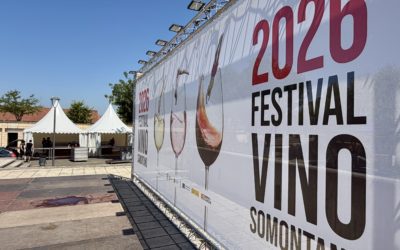Con el Festival Vino Somontano comienza la vendimia 2026