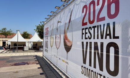 Con el Festival Vino Somontano comienza la vendimia 2026