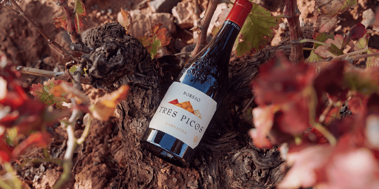 Borsao Tres Picos celebra 25 años como el vino que posicionó la garnacha aragonesa por todo el mundo
