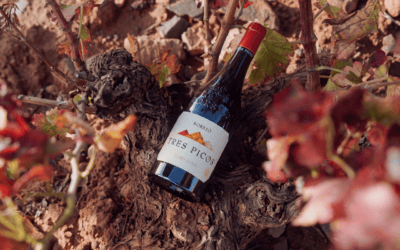 Borsao Tres Picos celebra 25 años como el vino que posicionó la garnacha aragonesa por todo el mundo