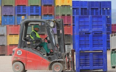 Agricultura destina 19 millones de euros a reforzar la transformación y comercialización agroalimentaria en Aragón