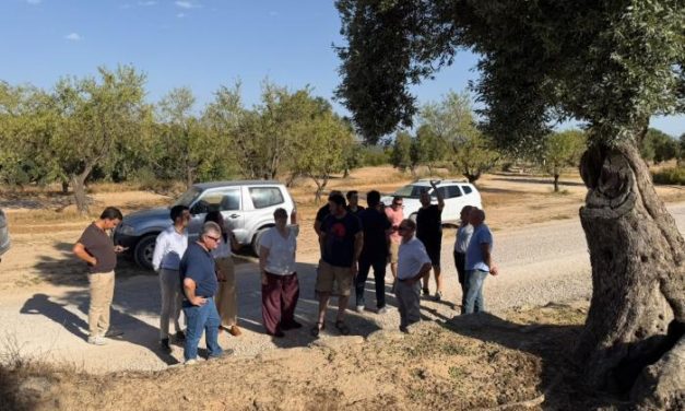 La consejera Arancha Simón visita las zonas afectadas por el granizo en el Bajo Aragón y Cinco Villas