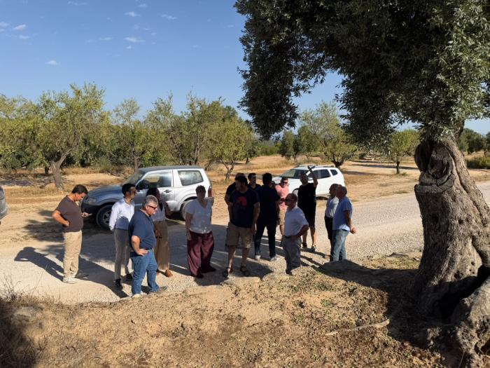 La consejera Arancha Simón visita las zonas afectadas por el granizo en el Bajo Aragón y Cinco Villas
