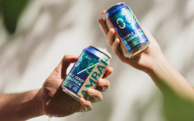 Verano “SIN”: casi la mitad de los españoles eligen la cerveza sin alcohol