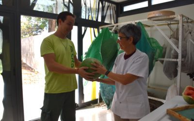 Una variedad tradicional de sandía de San Mateo de Gállego se incorpora al Banco de Germoplasma Hortícola del CITA