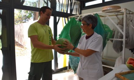 Una variedad tradicional de sandía de San Mateo de Gállego se incorpora al Banco de Germoplasma Hortícola del CITA