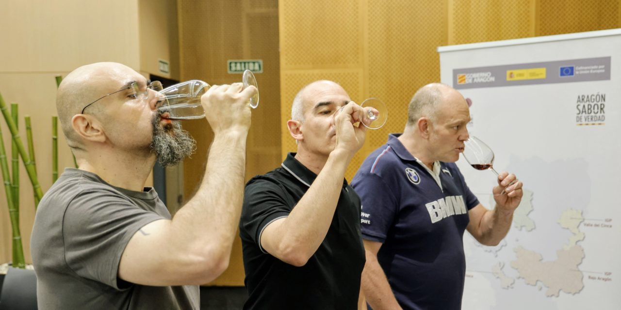 La Asociación Vinos de la Tierra de Aragón celebra la V muestra de sus vinos