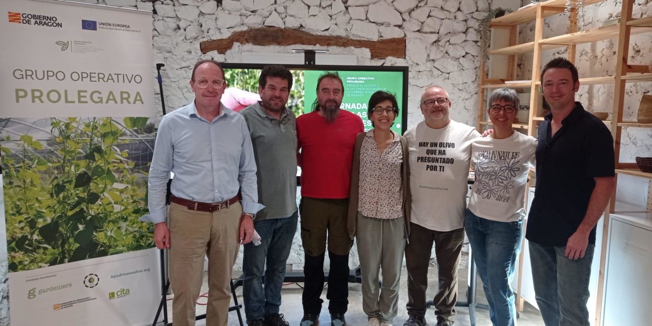 Aragón recupera sus legumbres más singulares para cultivar biodiversidad, salud y desarrollo rural