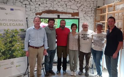 Aragón recupera sus legumbres más singulares para cultivar biodiversidad, salud y desarrollo rural