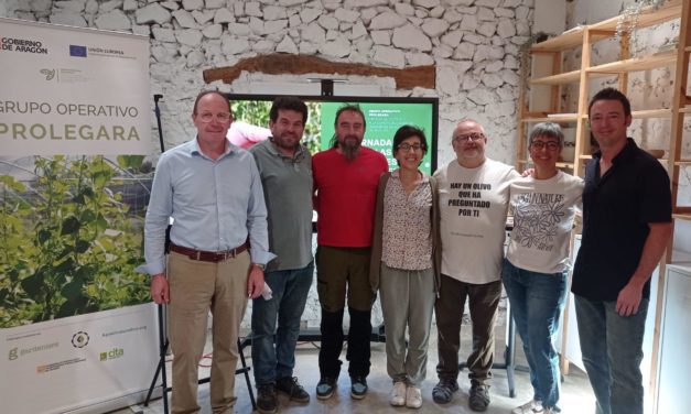 Aragón recupera sus legumbres más singulares para cultivar biodiversidad, salud y desarrollo rural