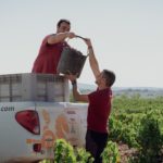 Borsao reivindica el futuro de la garnacha aragonesa en la vendimia más temprana de su historia