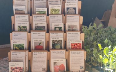 Lo bonito de enredarse diferentes generaciones a través de las semillas tradicionales