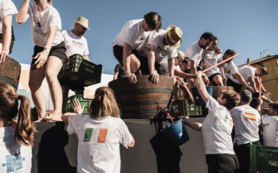 Raíces Ibéricas recauda cerca de 10 mil euros en su Fiesta de la Vendimia que entrega a Viu Autisme