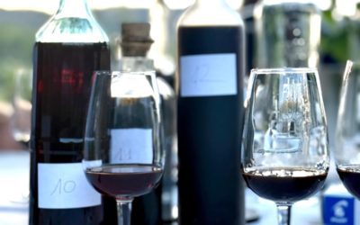 La IV Festa del vi de nous celebra la tradición del vino de nueces del Matarraña