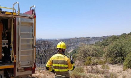 Convocadas ayudas por 550.000 euros para compensar a las explotaciones ganaderas afectadas por los incendios del verano en Aragón