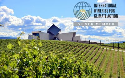 La apuesta por la sostenibilidad de Bodega SOMMOS se fortalece con la certificación Silver Member de International Wineries for Climate Action (IWCA)