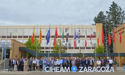 Formación, cooperación y menos barreras para atraer nuevos profesionales al campo